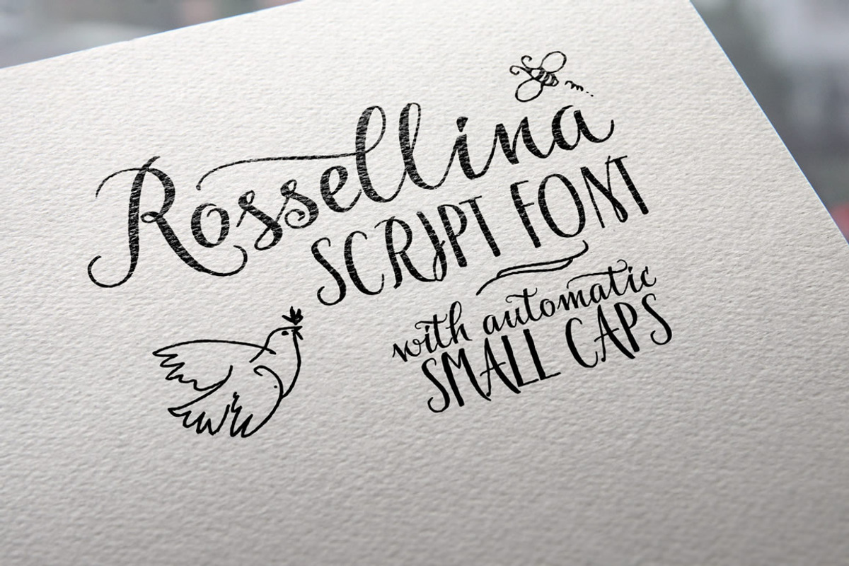 Rossellina
