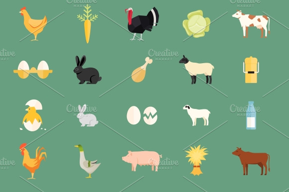 Farm Animals And Produce