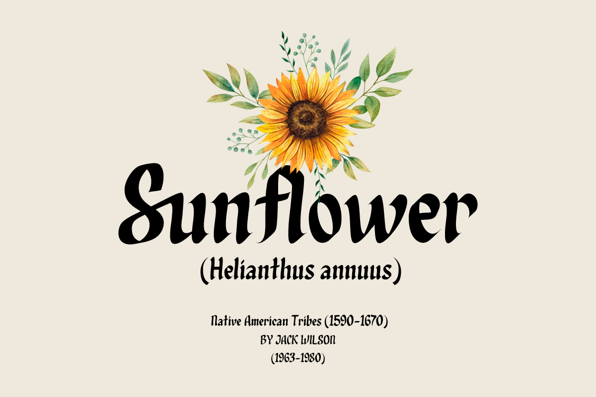 Qixohe - Blackletter Font, a Blackletter Font by twinstd (Photo 5 of 10)