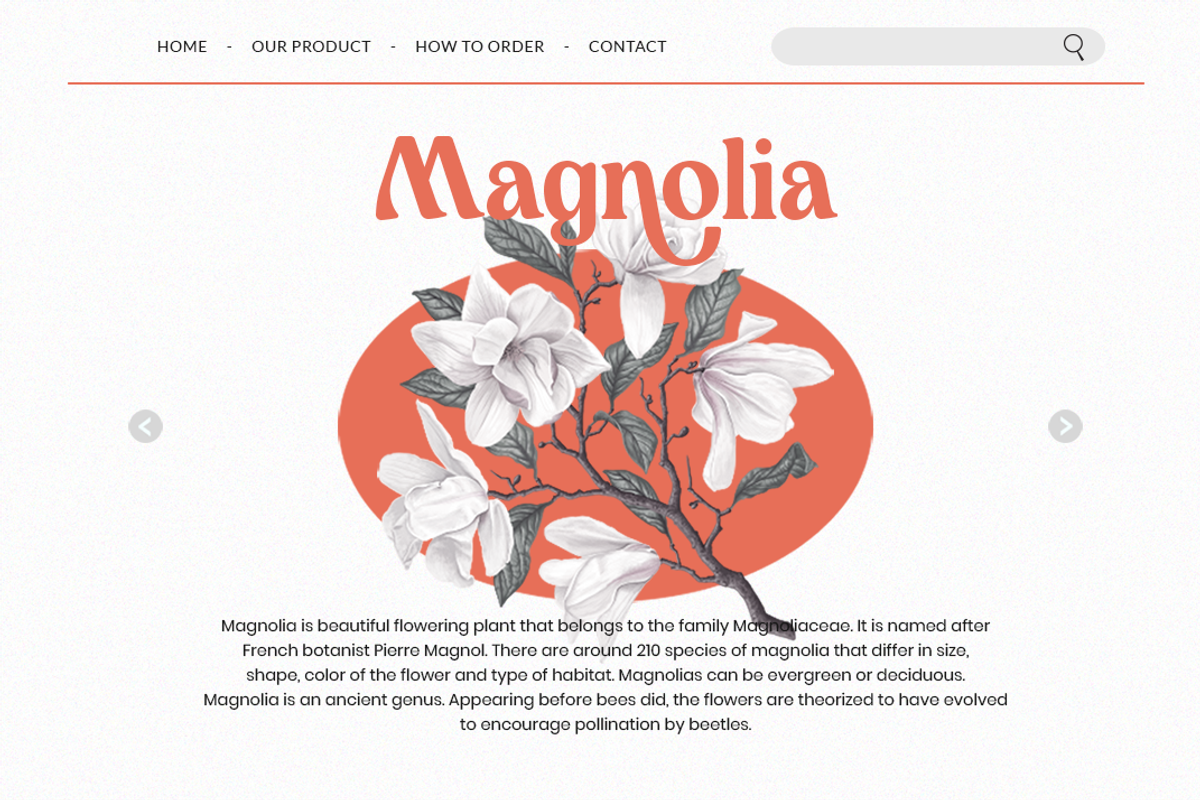 Mufteya - Retro Serif Font, a Serif Font by Zarma Type (Photo 4 of 14)