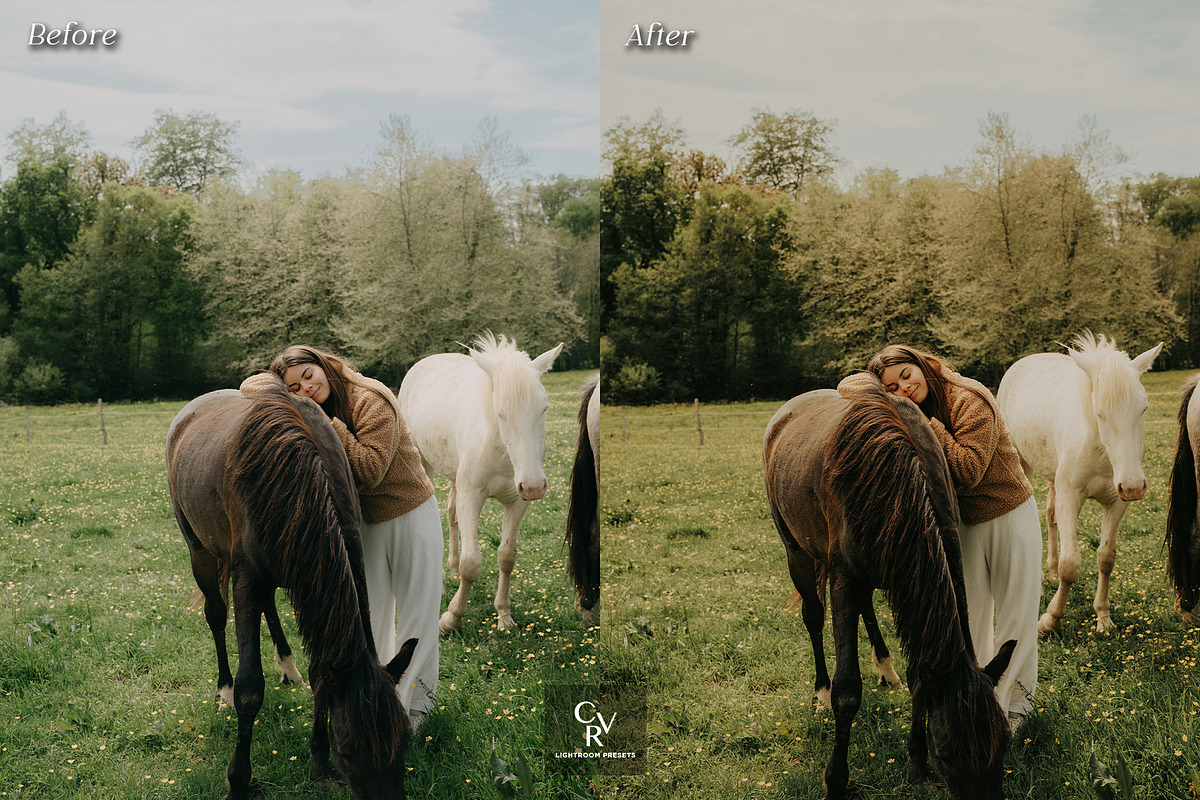 10 Western Lightroom Presets, a Preset Add-On by CVR Presets (Photo 7 of 9)