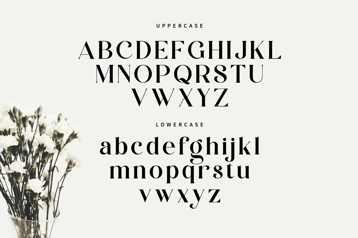 Zalerin || Modern Serif Typeface, a Serif Font by Idea Studio (Photo 11 of 12)