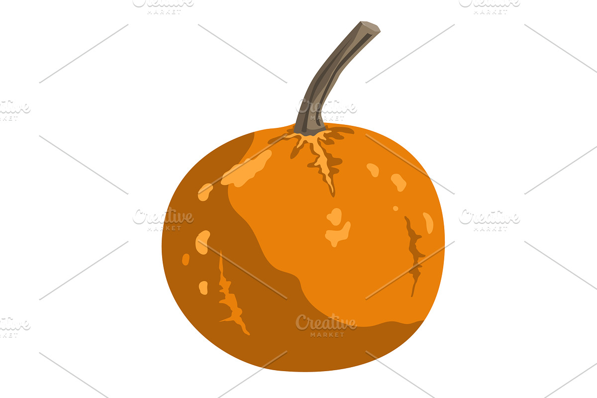 Cute small decorative pumpkin, an Object Illustration by Toltemara