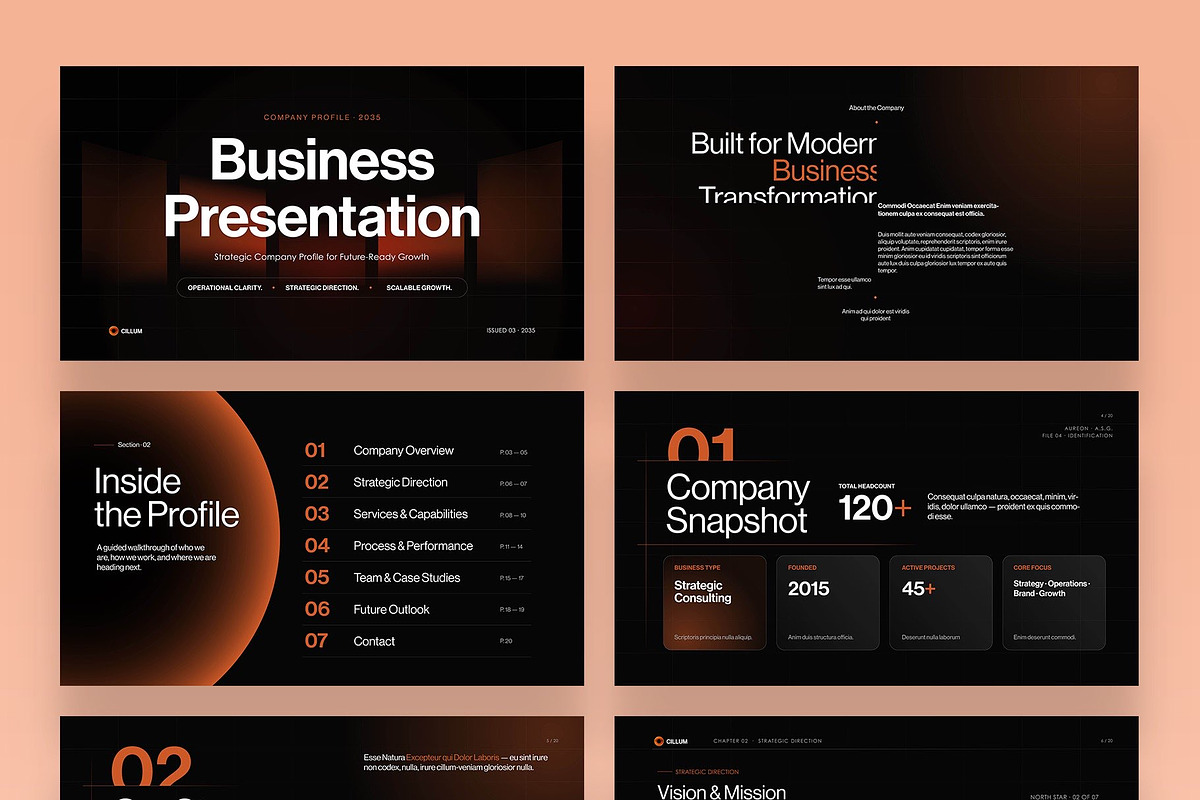 Business Presentation Template, a Presentation Template by BrandPacks (Photo 7 of 7)