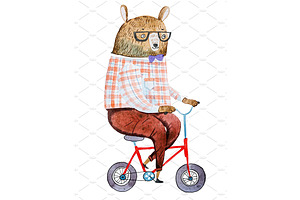 Cartoon Bear Dressed Up In Hipster Clothes Riding A Bike Drawn On White Paper With Watercolor Technique