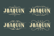 JOAQUIN, a Serif Font by Mozatype (Thumbnail 4 of 11)