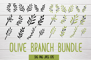 Olive branches bundle