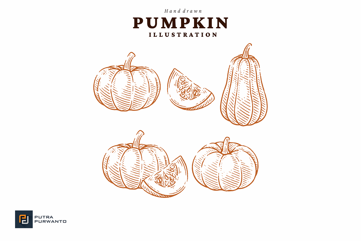 Hand Drawn Pumpkin Illustration Set, a Food Illustration by putra_purwanto (Photo 1 of 3)