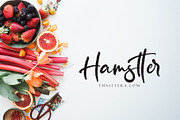 Seritton, a Script Font by pineungtype (Thumbnail 3 of 10)