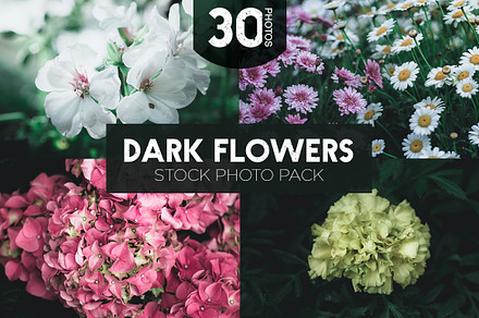 Dark Flowers - Stock Photos