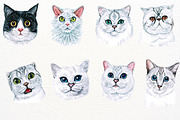 39 Realistic Watercolor Cat Portrait, an Animal Illustration by ArtbyHien (Thumbnail 6 of 8)