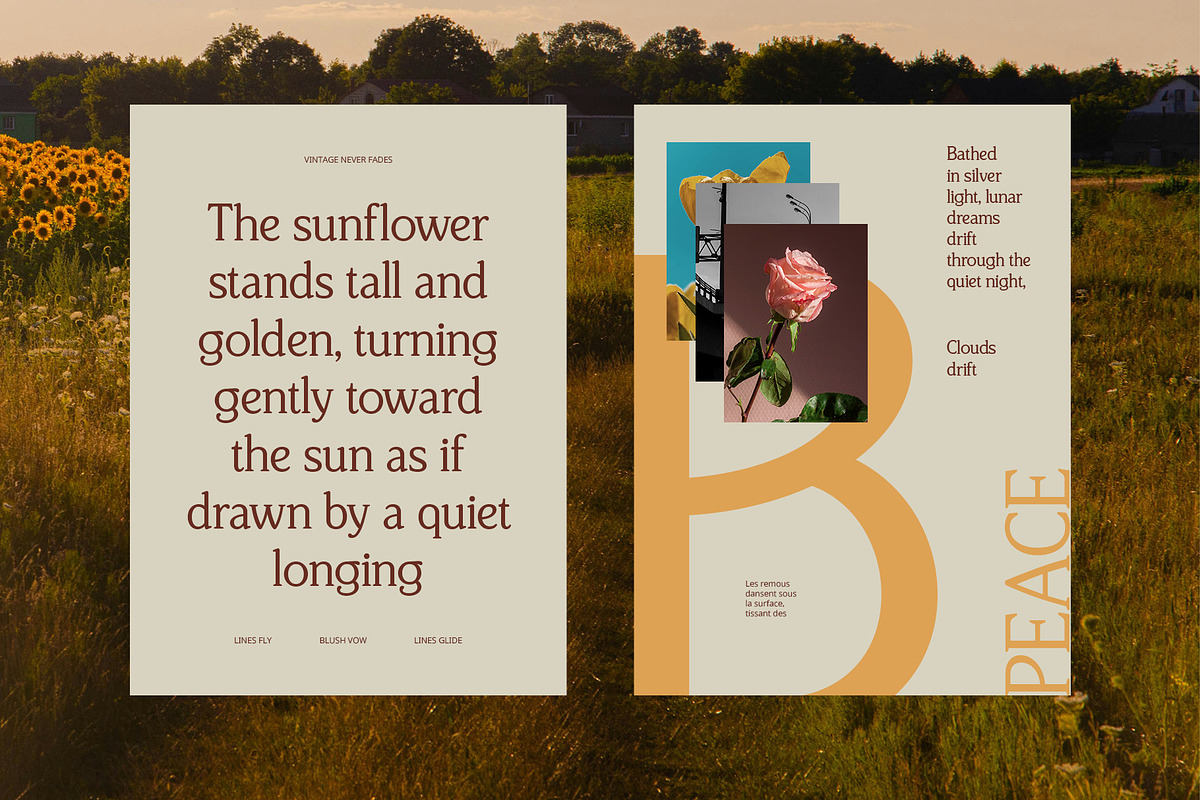 CS Bilges – Classic Font, a Serif Font by Craft Supply Co. (Photo 6 of 8)