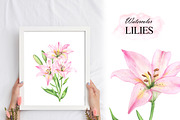Pink lilies watercolor clipart set, an Illustration by OlDm_Shop (Thumbnail 5 of 10)