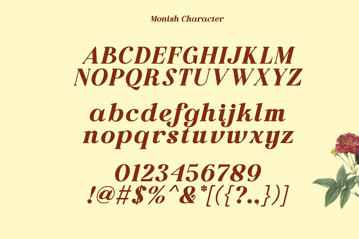 Venira - Modern Serif, a Serif Font by Luna Shop (Photo 2 of 10)