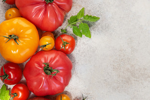 Colorful heirloom tomatoes creating a fresh garden harvest displ, a Food & Drink Photo by Olena Rudo