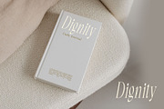 Lagency - Elegant Serif | 10 Fonts, a Serif Font by Craft Supply Co. (Thumbnail 4 of 12)