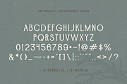 Driftwood, a Serif Font by Chelsea Burkett (Thumbnail 4 of 6)