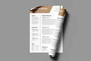 ATS Friendly Resume Template, a Resume Template by PixelStudio (Thumbnail 4 of 4)