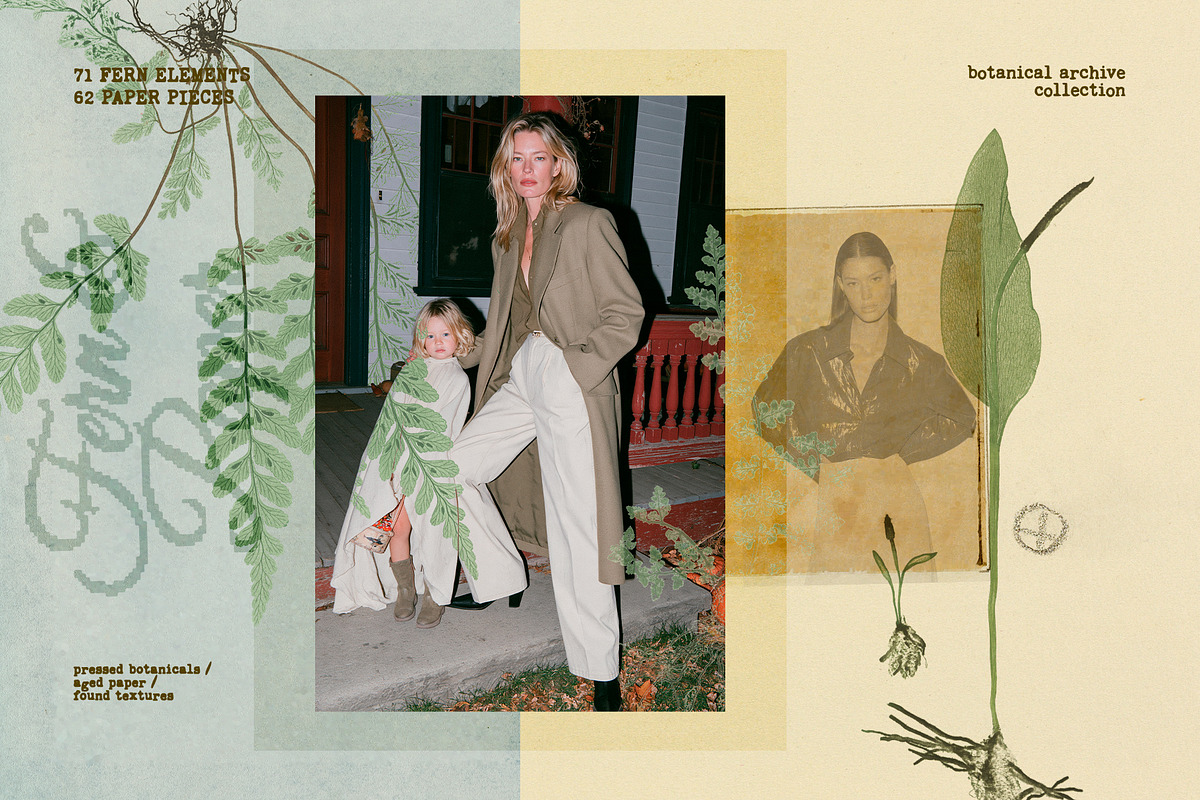 Fern & Paper Archive, a Background Graphic by nadispasibenko (Photo 3 of 10)