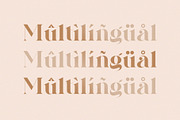Galins – Ligature Typeface, a Serif Font by BrandSemut (Thumbnail 6 of 13)