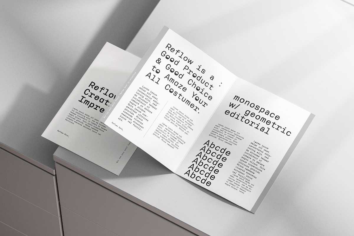 Reflow Mono Family | Intro 50% OFF, a Sans Serif Font by Lettertype Studio (Photo 3 of 15)