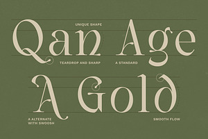 Vailnoise - Classic Vintage Serif