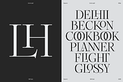 Dupioni - 6 font family, a Serif Font by Silktype (Thumbnail 10 of 21)