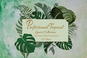 Professional Tropical Leaves