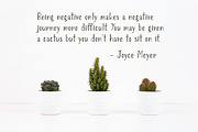 Juno, Friendly Font Trio, a Sans Serif Font by Cottonwood312 (Thumbnail 4 of 12)