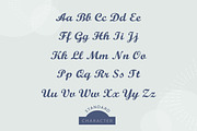 Arustin - Bold Script, a Script Font by Lemon Studio Type (Thumbnail 6 of 8)