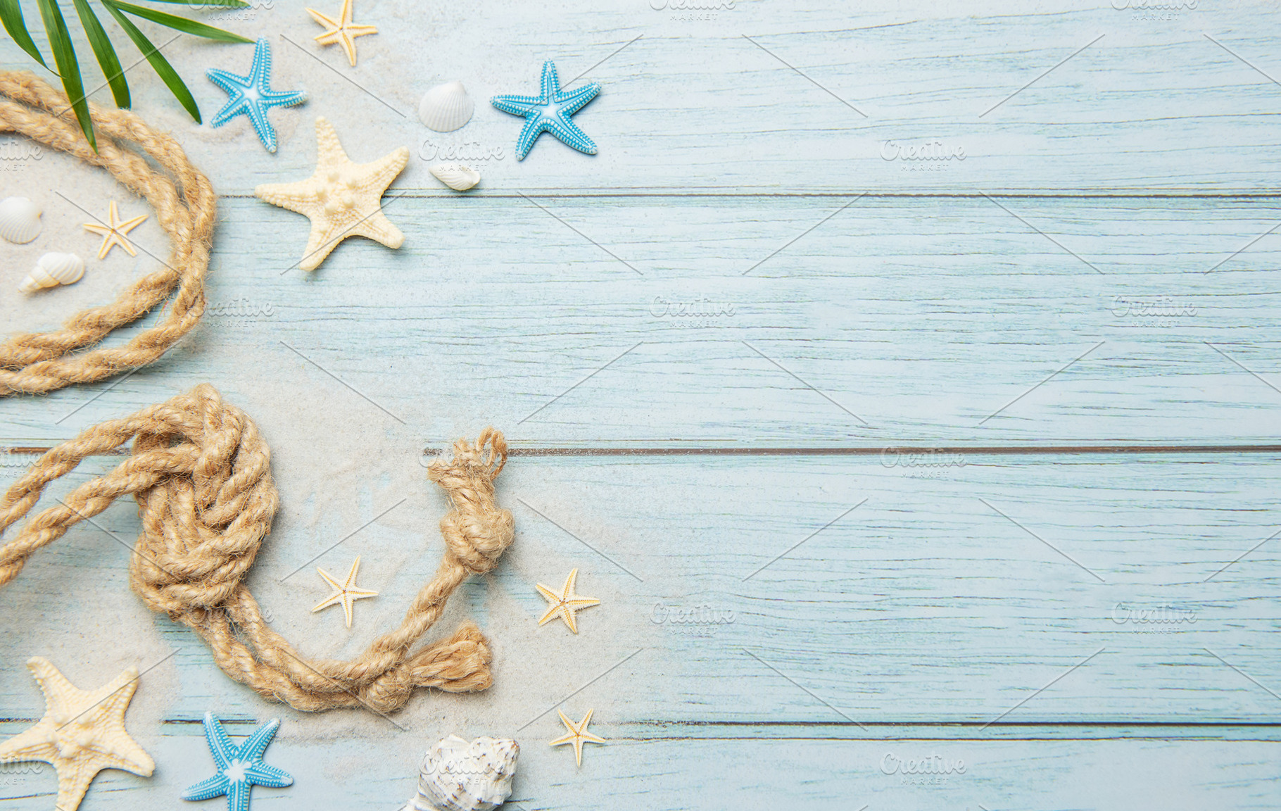 Summer concept with palm leaf, rope, seashells and starfishes on, a Holiday Photo by Olena Rudo