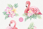SALE!Tropical Blossom Watercolor Set, a Decorative Illustration by Irina Diasli (Thumbnail 4 of 14)