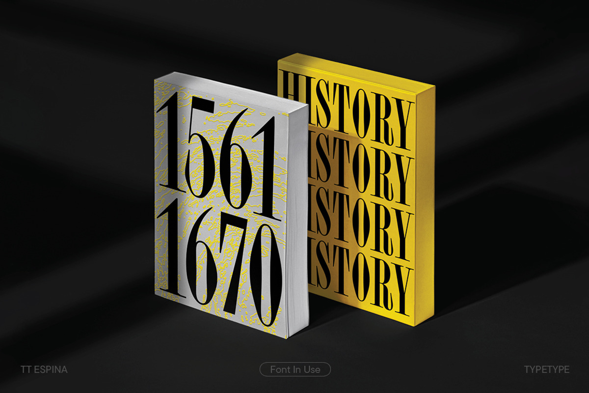TT Espina, a Serif Font by TypeType (Photo 11 of 15)