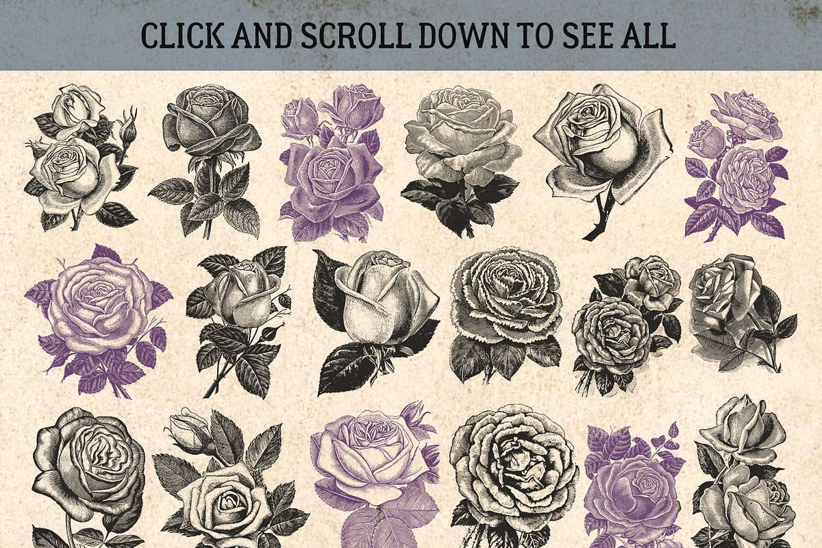 87% OFF Vintage Bundle - Free Update, an Animal Illustration by Brigantine Designs (Photo 18 of 21)