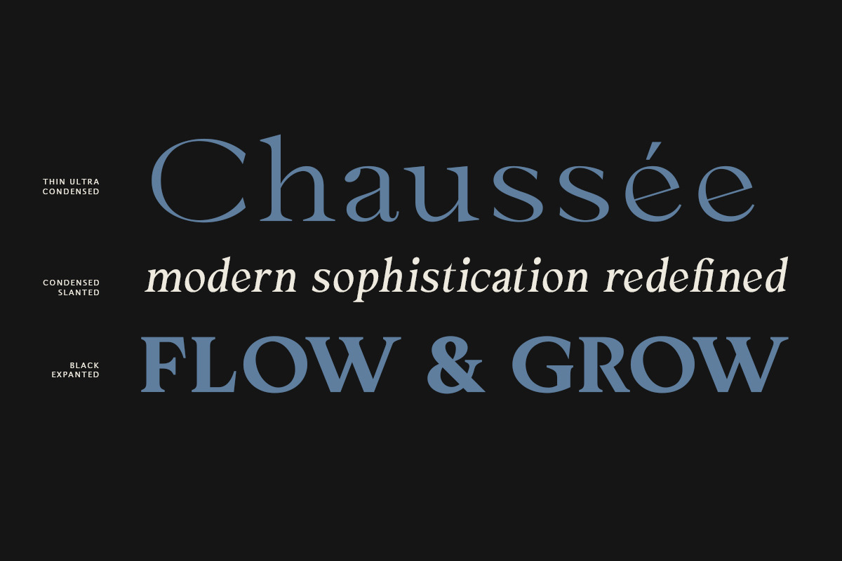 Cadera Serif | 162 Font Files, a Serif Font by Ws Studio (Photo 6 of 12)