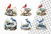 Birds on Water Fountain Clipart Set, an Animal Illustration by The Twin Lakes Studio (Thumbnail 3 of 9)