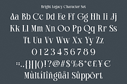 Bright Legacy - Family Luxury Font, a Serif Font by Say Studio (Thumbnail 9 of 10)