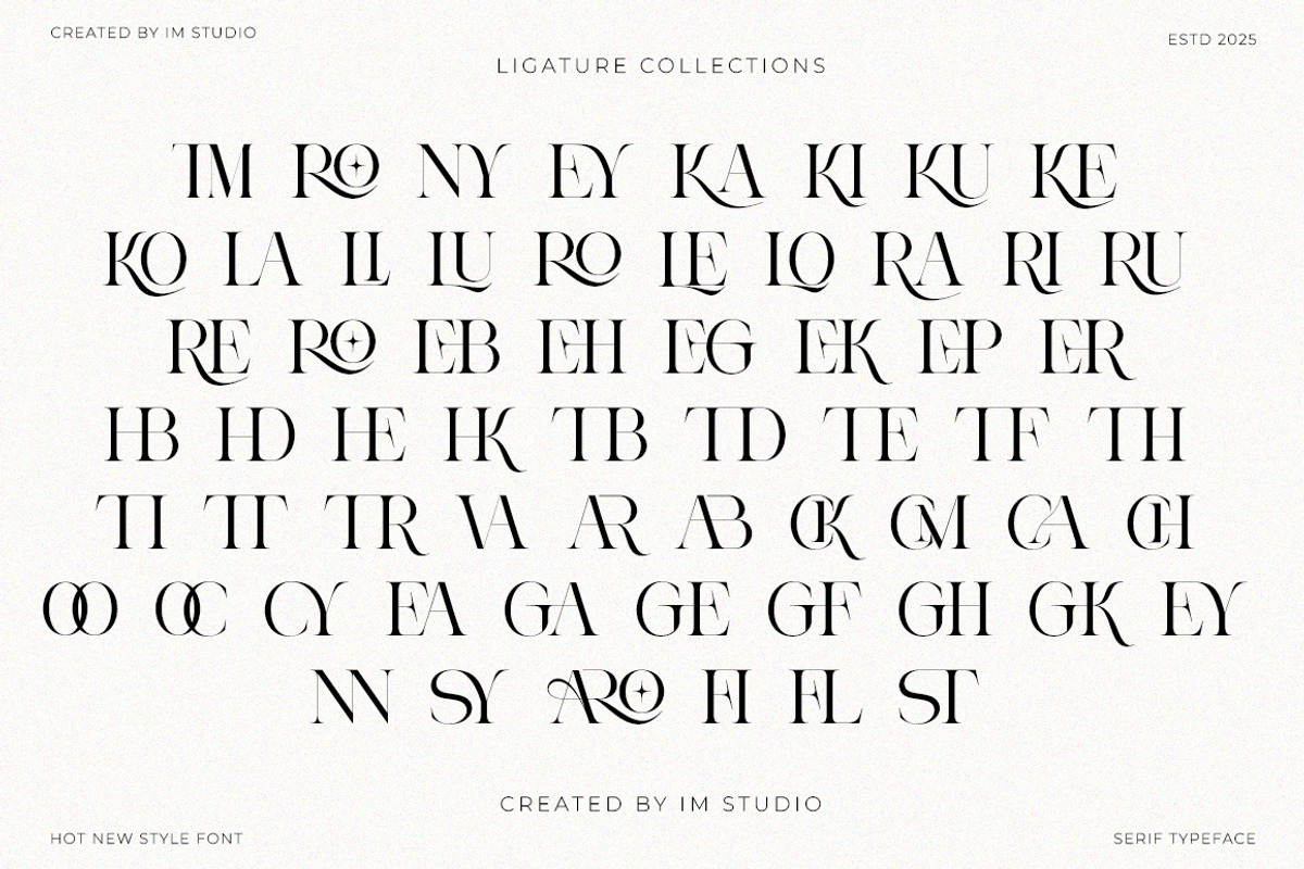 Aroney Family | 5 Style Fonts, a Serif Font by IM Studio (Photo 9 of 12)