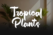 Delichatz - Bold Brush Script, a Script Font by Variatype (Thumbnail 3 of 8)