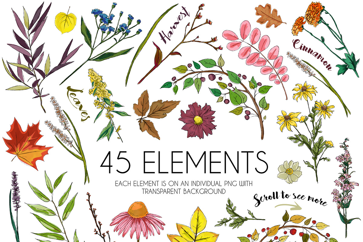 Fall Wildflower Graphic Set, a Seasonal Illustration by Ink + Eye (Photo 3 of 10)