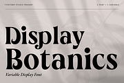 Botanics Display Variable, a Serif Font by Typetemp Studio (Thumbnail 1 of 11)