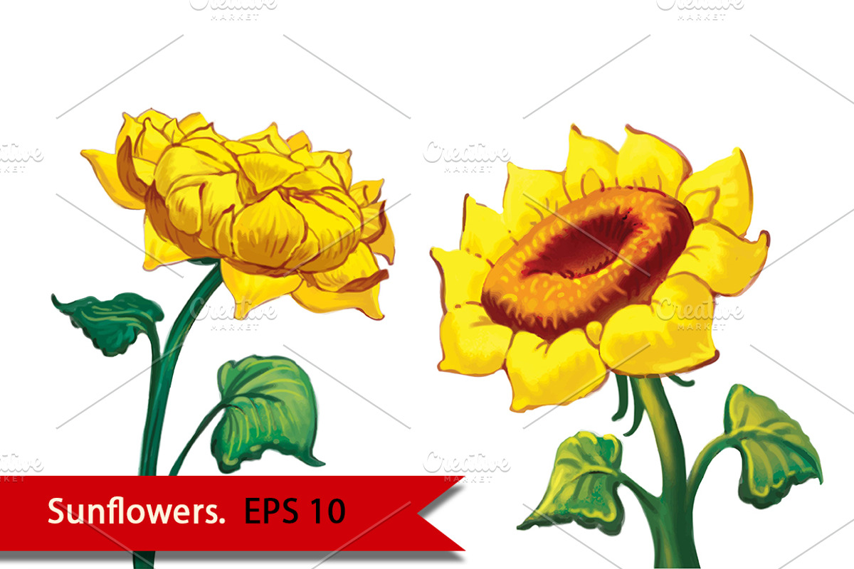 Two Sunflowers. Vector, an Object Graphic by Art Nature