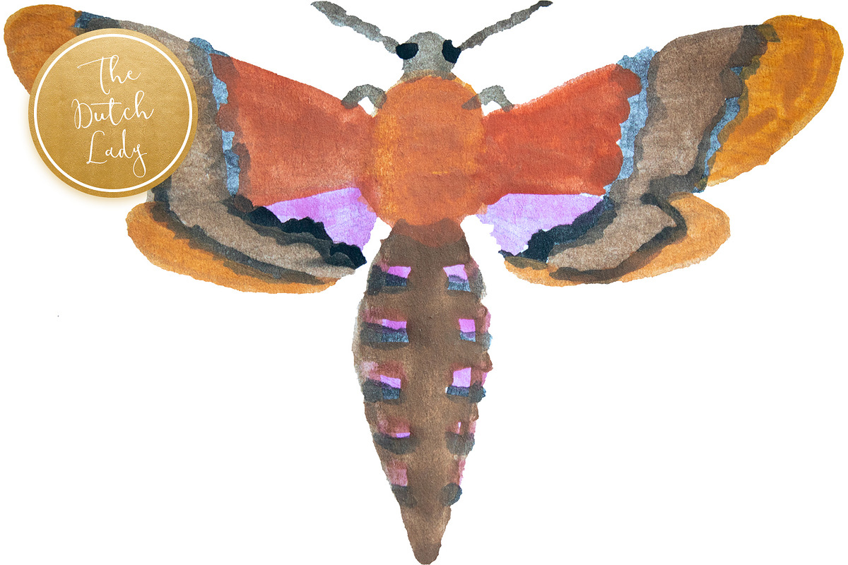 Handpainted Insect Clipart Set, an Illustration by The Dutch Lady Designs (Photo 5 of 6)
