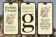 Twilight Vintage Modern Serif, a Serif Font by timelesstype.co (Thumbnail 6 of 20)