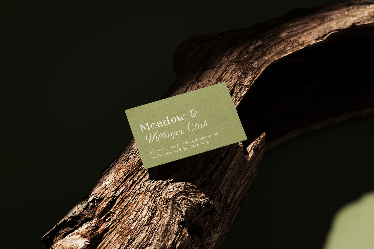 Meadow & Villager Club - Font Duo, a Handwritten Font by Lettertype Studio (Photo 8 of 14)