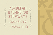 Andarillo - Display Font, a Serif Font by Franklin Veiga (Thumbnail 2 of 11)