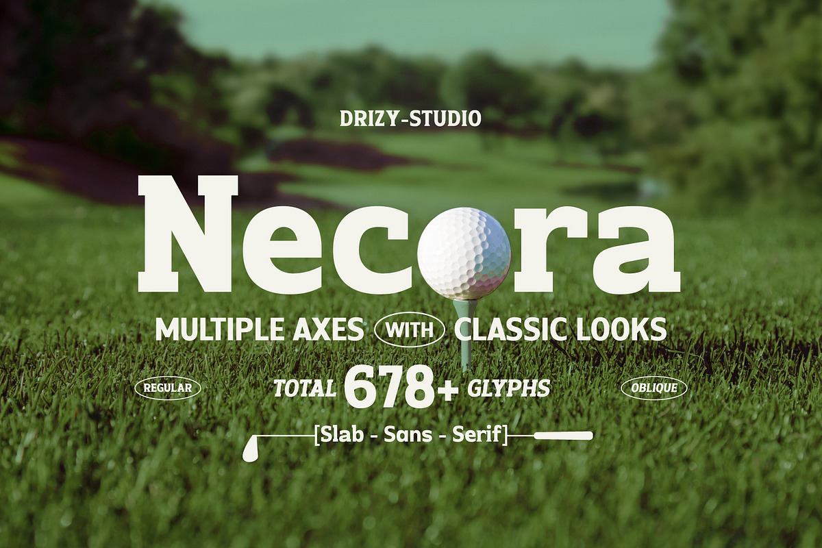 Necora – Multiple Axes Classic Font, a Serif Font by Drizy (Photo 1 of 10)