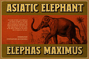 The Edgeriver - Organic, a Font by Letterhend Studio (Thumbnail 5 of 9)