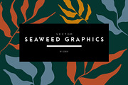Vector Seaweed Graphics, a Background Graphic by Dorey Kronick Art&Design (Thumbnail 1 of 9)