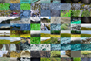 Textures of New Zealand - Bundle, a Nature Photo by Deviant (Thumbnail 5 of 5)
